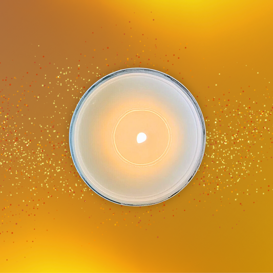 Amber Soy Candle