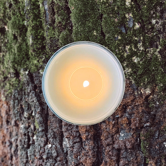 Musk Soy Candle