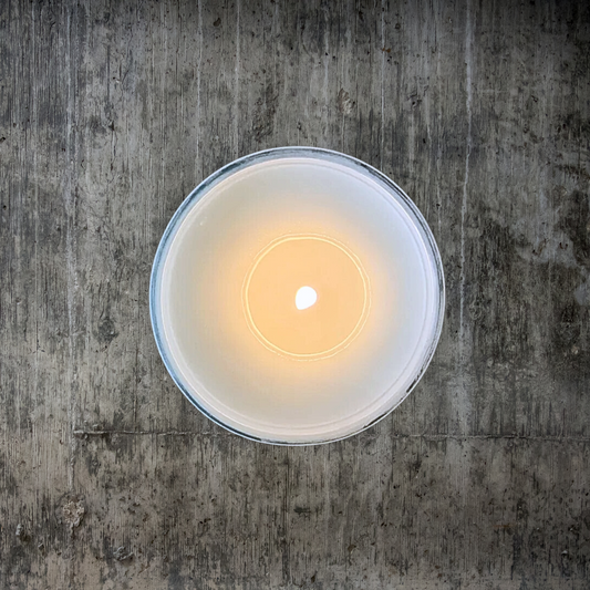 Wild Soy Candle